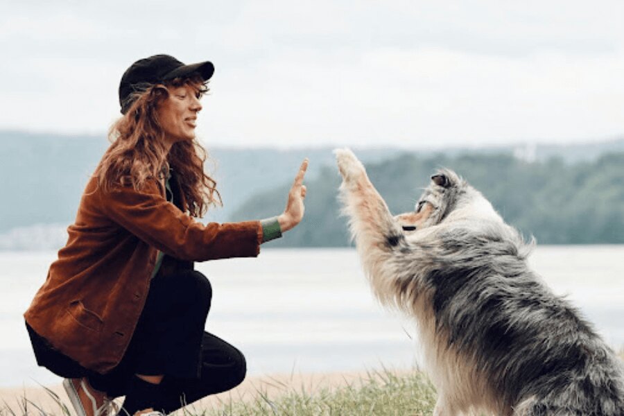 Žena se psem u jezera. Zdroj: https://www.pexels.com/cs-cz/foto/more-priroda-plaz-dovolena-27949841/