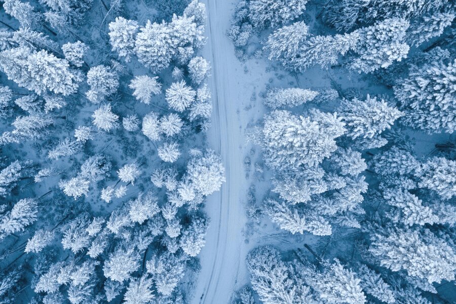 Zasněžený les, pohled z dronu. Zdroj: https://www.pexels.com/cs-cz/foto/1438761/