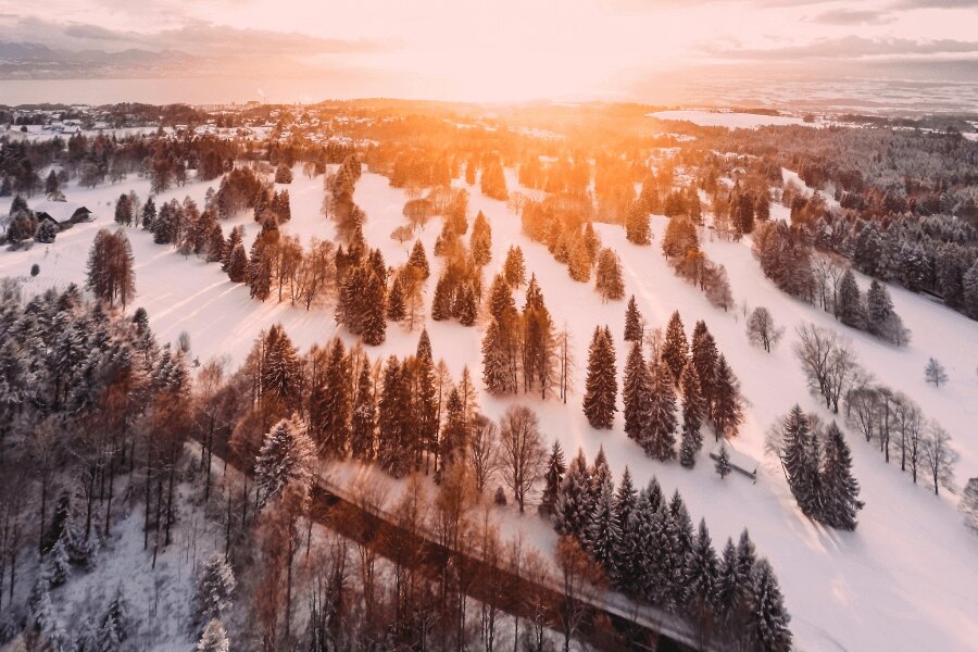 Zimní krajina s lesem při západu slunce. Zdroj: https://www.pexels.com/cs-cz/foto/1643773/